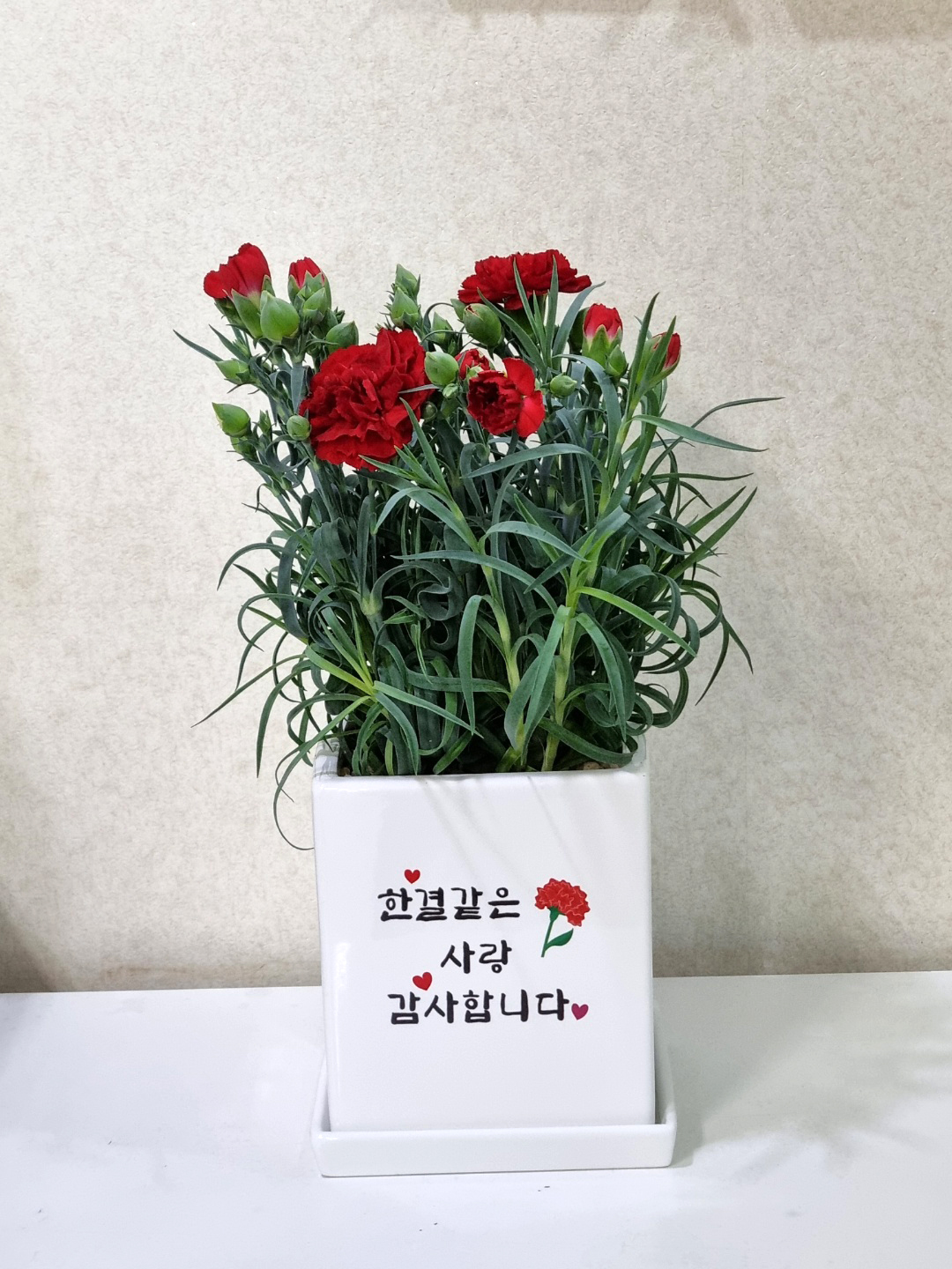캘리그라피 화분_가격문의