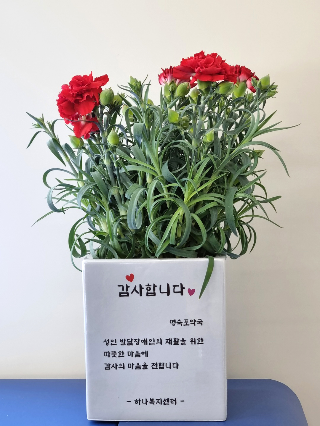 캘리그라피 화분_가격문의